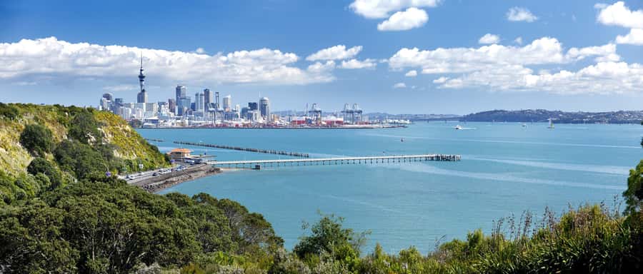 Auckland Scenic Half-Day City Sightseeing Tour - Price and time: why $44 works for some people