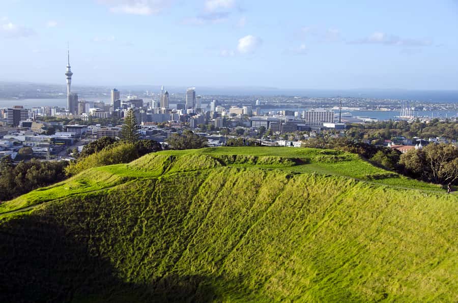 Auckland Scenic Half-Day City Sightseeing Tour - Westhaven Marina and the waterfront feel around the Viaduct