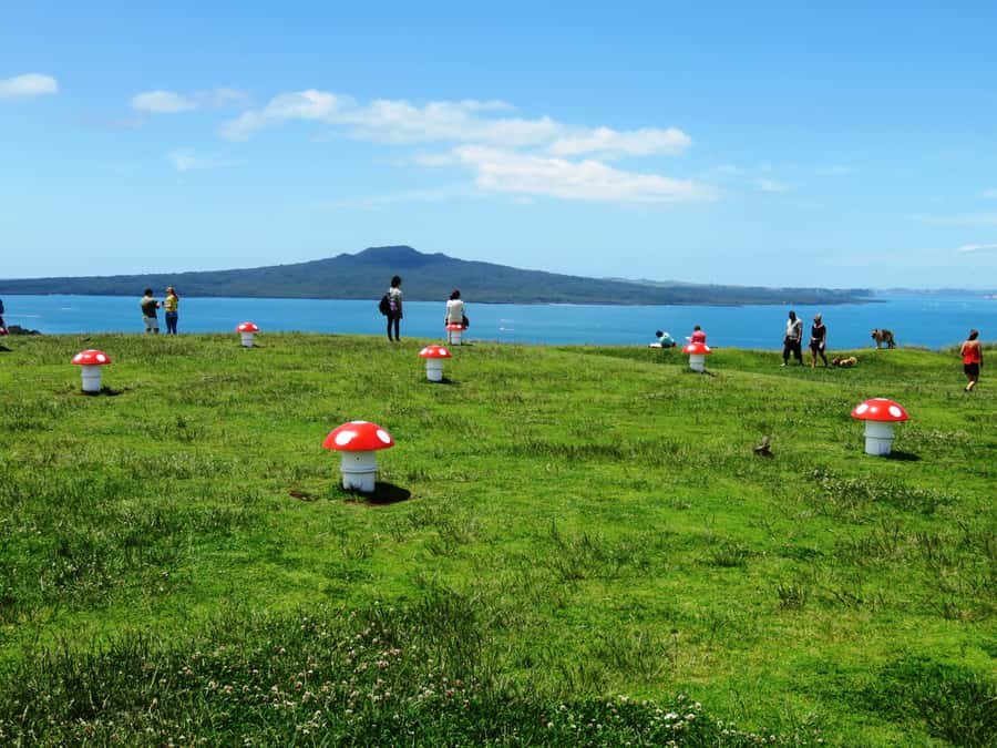 Auckland: Segway Tour to Mount Victoria - First You Learn the Segway, Not Just the Route