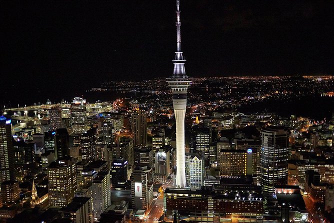 Auckland Shore Excursion: Half-Day Guided City Tour - Auckland Domain and the Parnell Fringe Loop