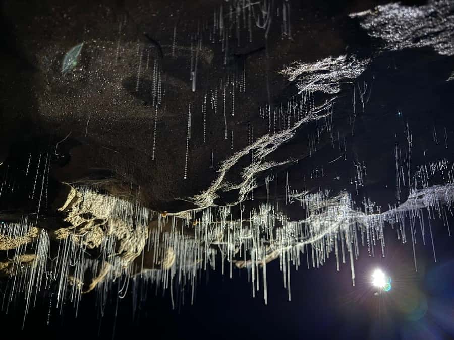 Auckland: Spellbound Glowworm Caves Explorer Tour - Auckland to Waitomo: the 2.75-hour drive you should mentally budget