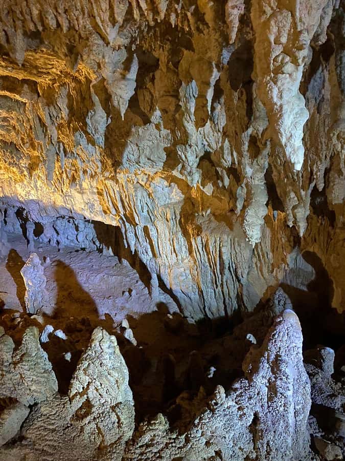 Auckland: Spellbound Glowworm Caves Explorer Tour - Pickup and timing: how the small-group day stays on schedule