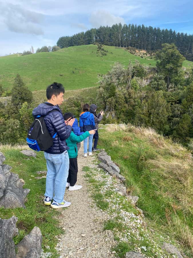 Auckland: Spellbound Glowworm Caves Explorer Tour - Otorohanga break and lunch planning: how to handle the meal gap