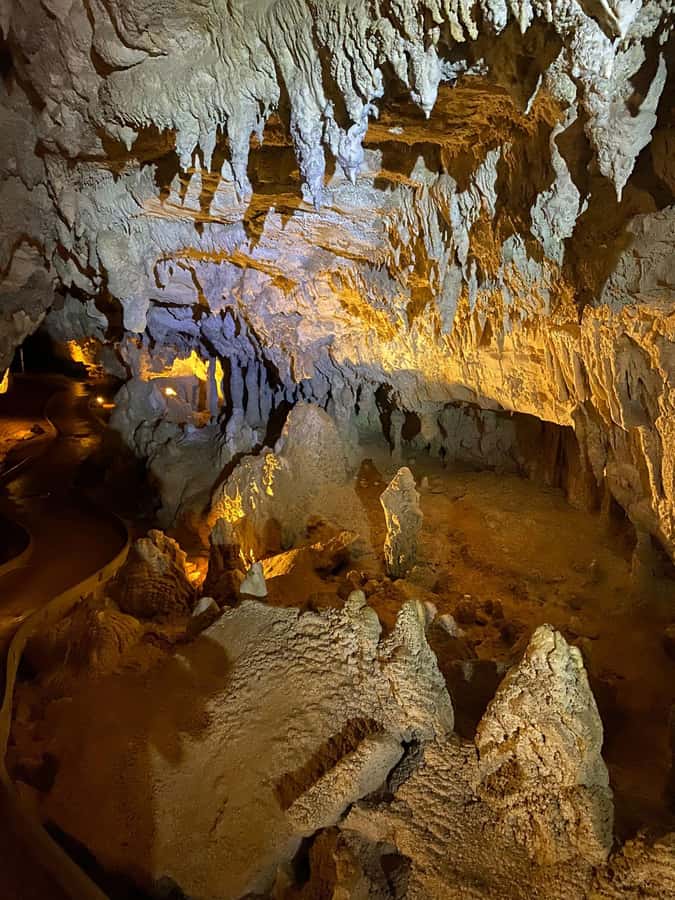 Auckland: Spellbound Glowworm Caves Explorer Tour - Value check for $194: what you get for the money