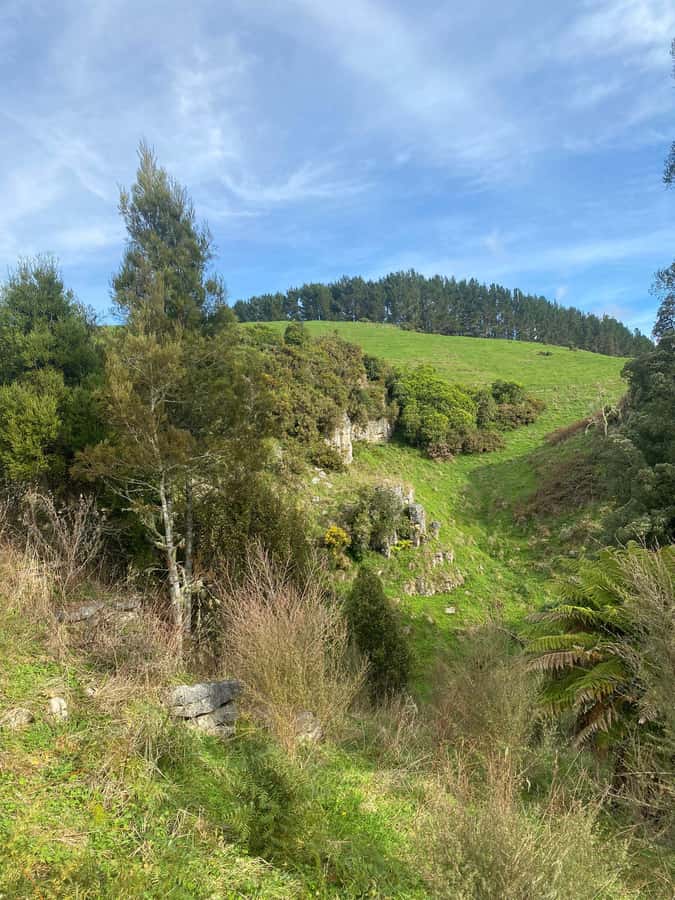 Auckland: Spellbound Glowworm Caves Explorer Tour - The guides make or break it: what great guidance looks like here