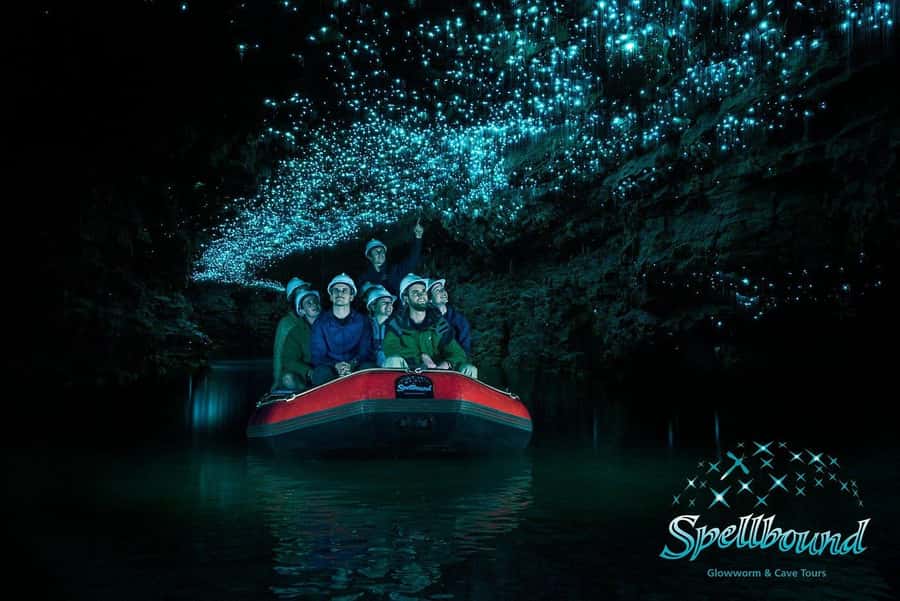 Auckland: Spellbound Glowworm Caves Explorer Tour - Inside Spellbound Glowworm Caves: what the 180-minute guided portion feels like