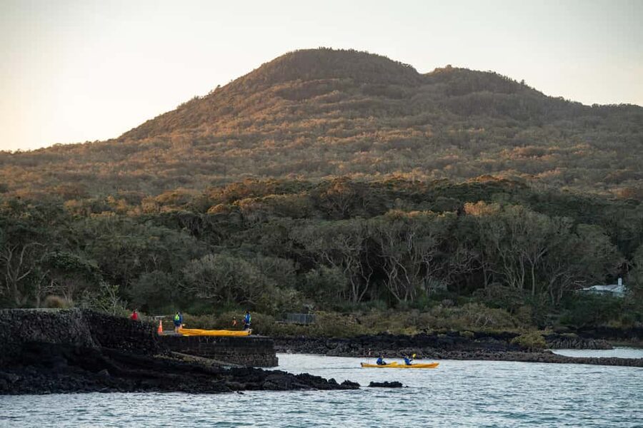 Auckland: Sunset & Night Sea Kayak Tour to Rangitoto Island - Kiwi picnic lunch, then reset with a BBQ dinner