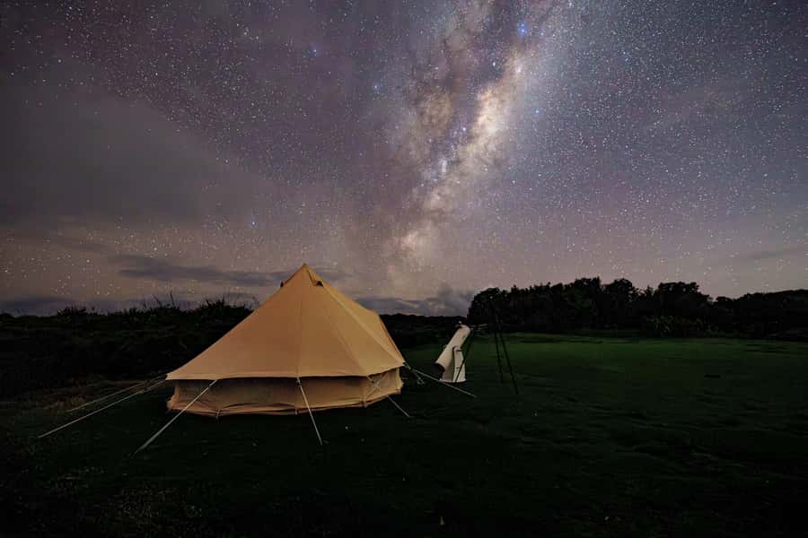 Auckland (Tawharanui): Wild Kiwi Bird Spotting Encounter - Stargazing in low light: planets, constellations, and a telescope boost