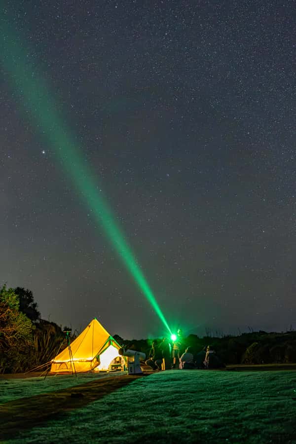 Auckland (Tawharanui): Wild Kiwi Bird Spotting Encounter - When the shoreline glows: bioluminescence odds and what to do