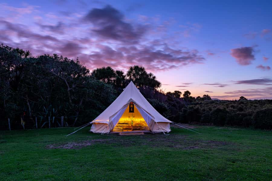 Auckland (Tawharanui): Wild Kiwi Bird Spotting Encounter - Duration, pace, and what changes if you choose overnight glamping