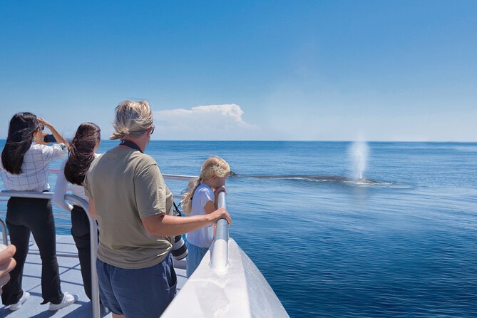 Auckland: Tikapa Moana Dolphin, Whale and Island Cruise - Hauraki Gulf first, why this cruise feels different