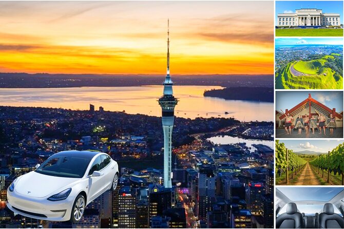 Auckland: Tikapa Moana Dolphin, Whale and Island Cruise - Waiheke island stop: Rotoroa for walks, or Man O’ War for a slow break