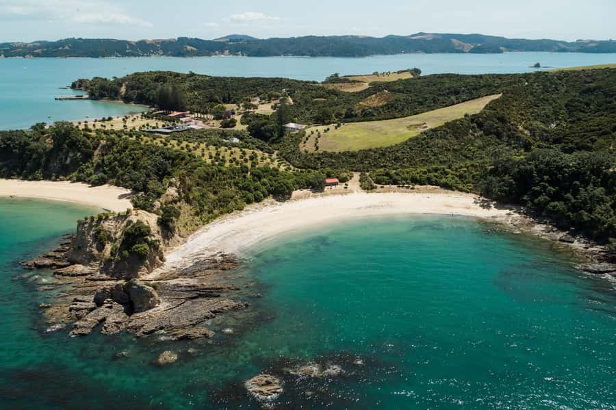 Auckland: Tikapa Moana Whales, Dolphins and Islands Cruise - The Live Commentary and Why It Matters More Than You Think