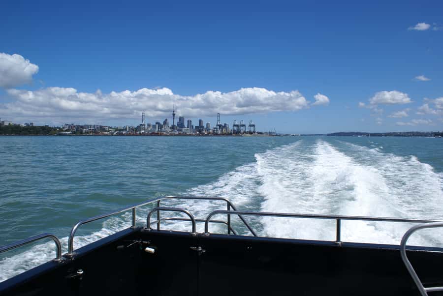 Auckland: Tikapa Moana Whales, Dolphins and Islands Cruise - Timing on Different Departures: When You Get More Island Time