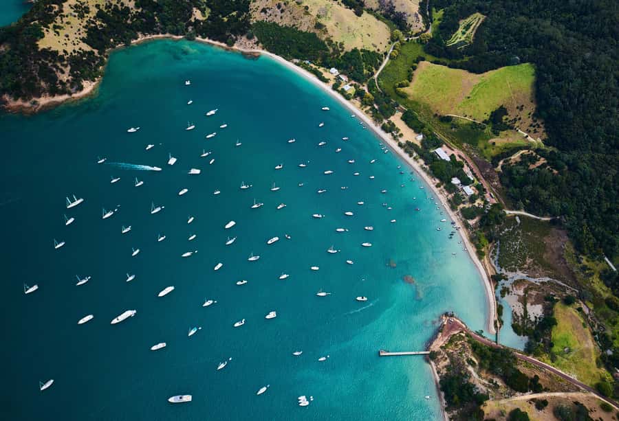 Auckland: Tikapa Moana Whales, Dolphins and Islands Cruise - Who This Cruise Fits Best