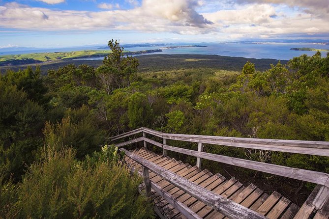 Auckland to Rangitoto Island Ferry - Quay Street to Rangitoto: Fullers360 and Your Mobile Ticket