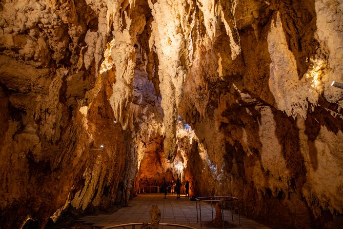 Auckland to Rotorua, Hobbiton and Waitomo 1 Way Small Group Tour - Price and what you actually get for $266.23