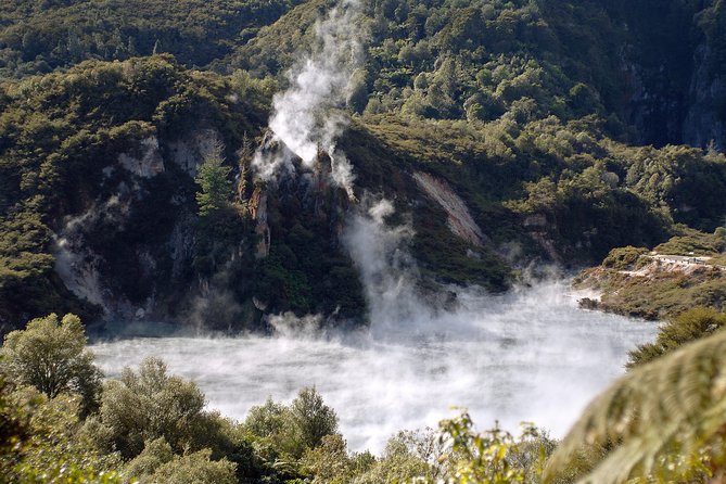 Auckland to Rotorua Private Tour - The Rotorua isite Visitor Centre Stop, and Why It Helps