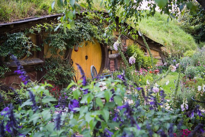 Auckland to Rotorua via Hobbiton Small Group Tour (One Way) - Rotorua Photo Stops: Lake Rotorua and Government Gardens