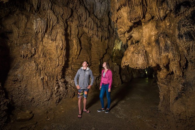 Auckland to Rotorua via Waitomo Caves Small Group Tour (One Way) - 6:00 am start and the mini-bus ride: comfort and live commentary
