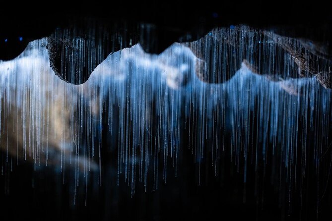 Auckland to Rotorua via Waitomo Caves Small Group Tour (One Way) - Rotorua drop-off at central locations, plus the Te Puia option