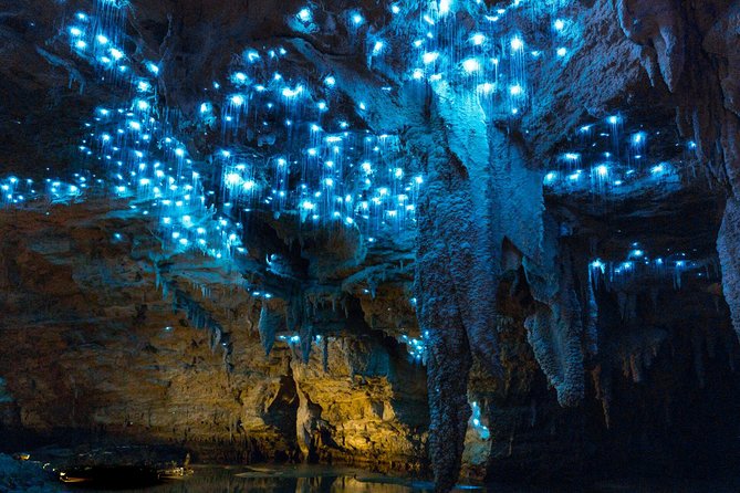 Auckland to Waitomo Caves and Hobbiton Movie Set Private Tour - Private Mercedes ride: pickup, comfort, and pacing