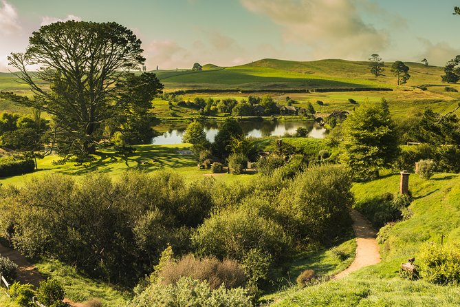 Auckland to Waitomo Caves and Hobbiton Movie Set Private Tour - What guides add to the day: commentary that gives meaning