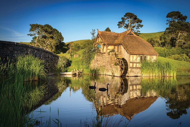 Auckland to Waitomo Caves and Hobbiton Movie Set Private Tour - Price and value for $670.22 per person