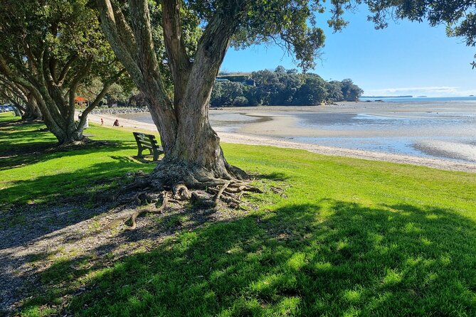 Auckland Town and Country Delights Tour - East Auckland by the water, with rural stops in the middle