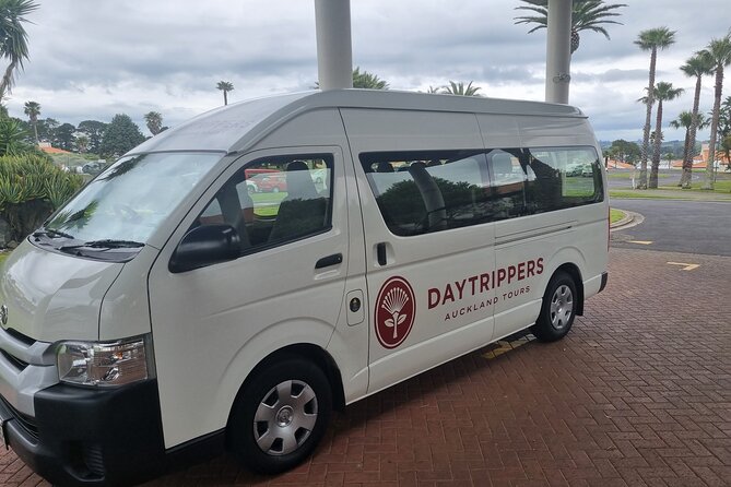 Auckland Town and Country Delights Tour - Price and what you actually get for $183.07