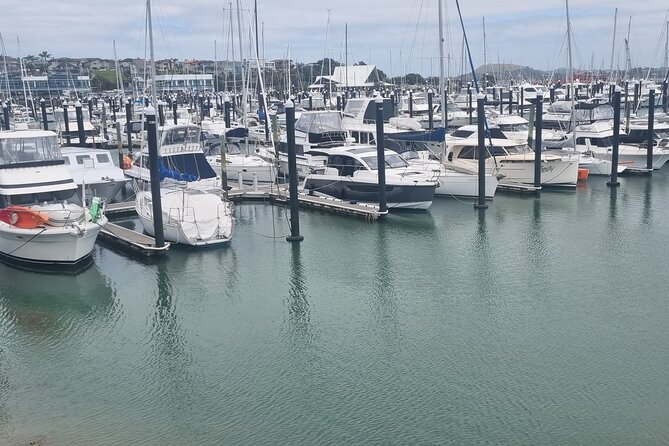 Auckland Town and Country Delights Tour - Howick and Cockle Bay: small seaside settlement energy, not just scenery