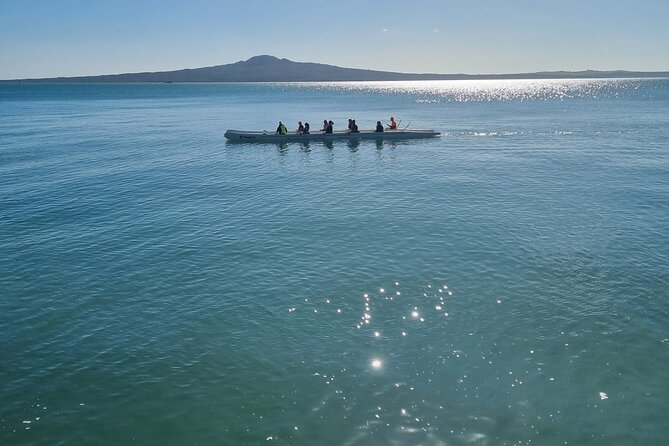 Auckland Town and Country Delights Tour - Sealink ferry back from Pine Harbour Marina to the city