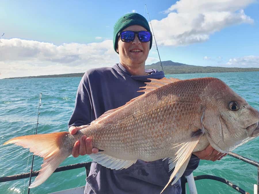 Auckland: Twilight Fishing Charter 5pm - 9:30pm - Arriving at Z Pier, Westhaven, and getting aboard on time