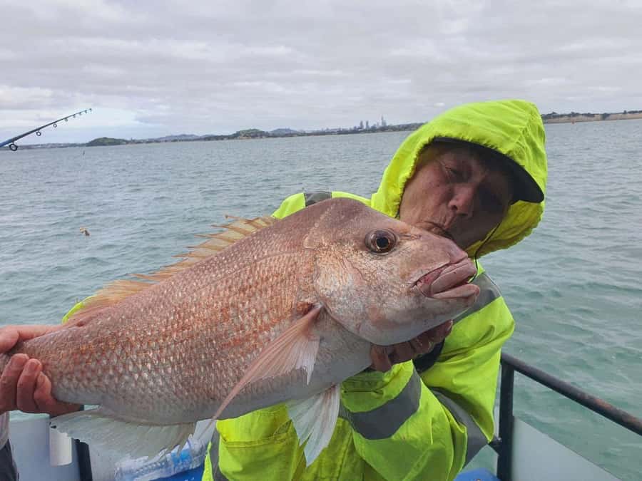 Auckland: Twilight Fishing Charter 5pm - 9:30pm - Simple best-practice tips to improve your odds