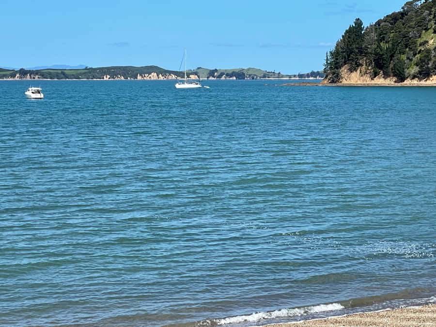 Auckland: Waiheke Island Luxury Experience Private Tour - FAQ