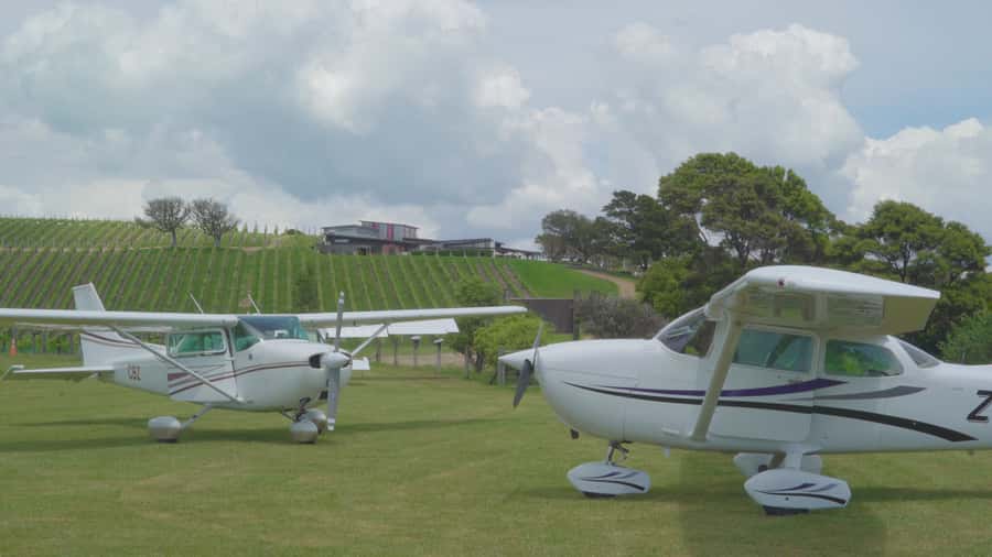 Auckland: Waiheke Island Wine and Food Tasting with Flights - The wine and champagne tastings, and how to pace the day