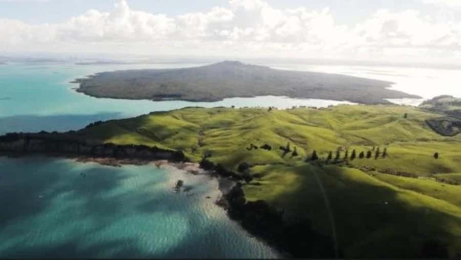 Auckland: Waiheke Island Wine and Food Tasting with Flights - Island driving and the return toward Matiatia ferry terminal