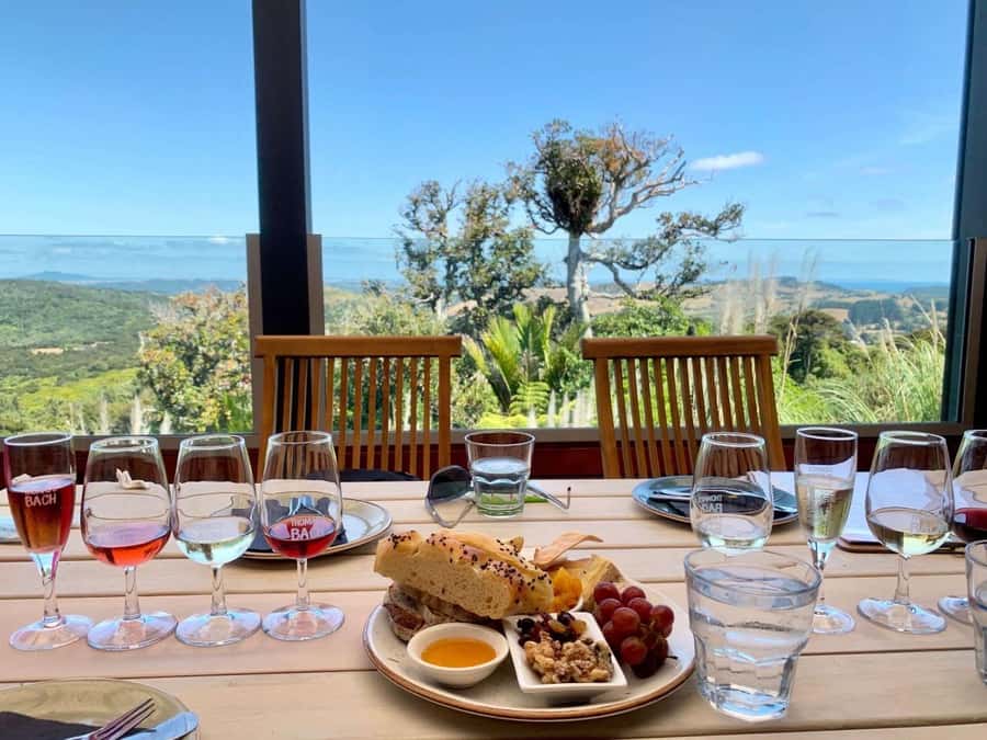 Auckland: Waiheke Island Wine and Food Tasting with Flights - Weather-dependent flights, weight limits, and who should plan carefully