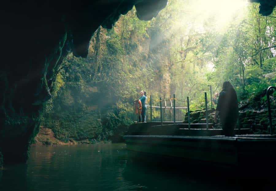 Auckland: Waitomo Caves & Rotorua - Te Puia Small-Group Tour - Why This Auckland to Rotorua Tour Works Better Than DIY