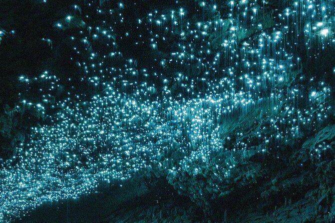 Auckland : Waitomo Spellbound Glow Worm Twin Caves Private Tour - Auckland Pickup to Waitomo, Without the Stress