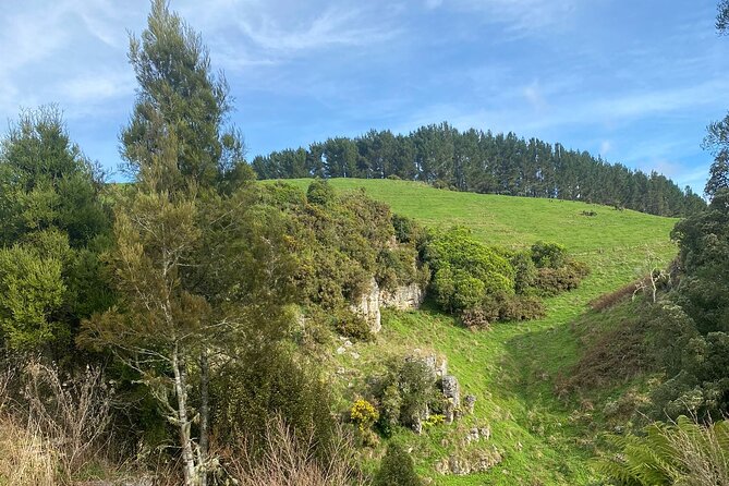 Auckland : Waitomo Spellbound Glow Worm Twin Caves Private Tour - Coffee or Tea Break and the Otorohanga Lunch Stop