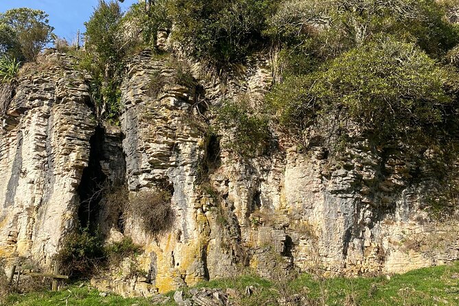 Auckland : Waitomo Spellbound Glow Worm Twin Caves Private Tour - Value and Price: Why $465.43 Can Still Make Sense