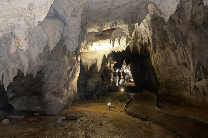 Auckland : Waitomo Spellbound Glow Worm Twin Caves Private Tour - Guide Quality and the Small Touches That Keep It Fun