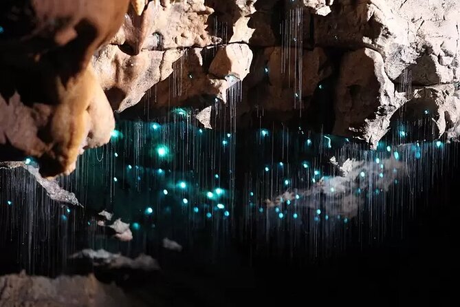Auckland : Waitomo Spellbound Glow Worm Twin Caves Private Tour - How to Prep for a Full Day in Waitomo