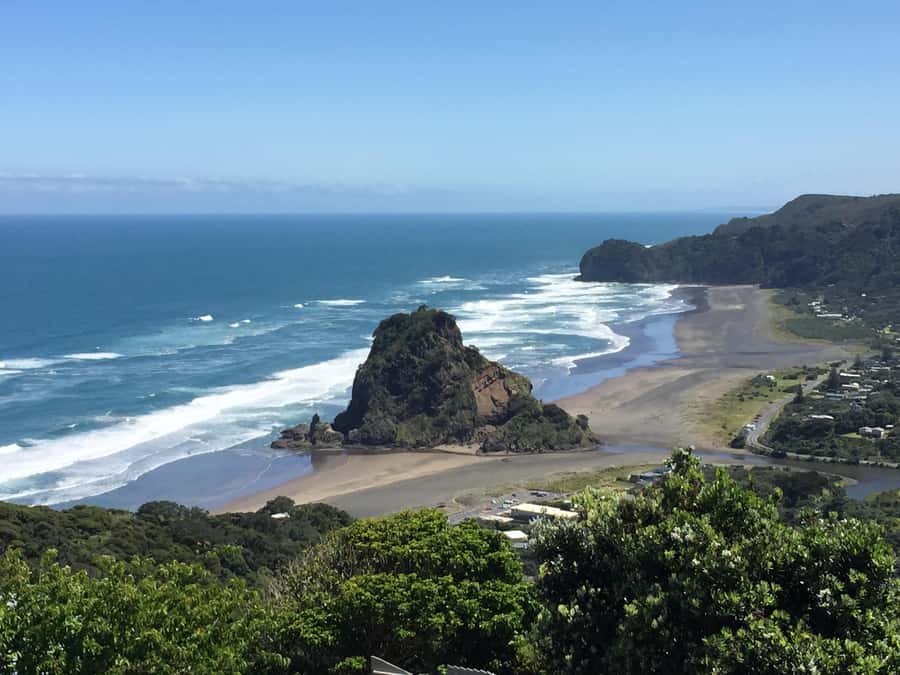 Auckland: West Coast Discovery - From Auckland CBD to the West Coast, without the stress