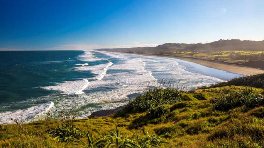Auckland: West Coast Discovery - Piha Beach and Lion Rock: black sand, serious views, and real surf country