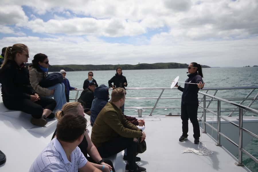 Auckland: Whale and Dolphin Watching Half-Day Eco Cruise - Boarding at Eastern Viaduct Marina, Then Rangitoto and Devonport Views First