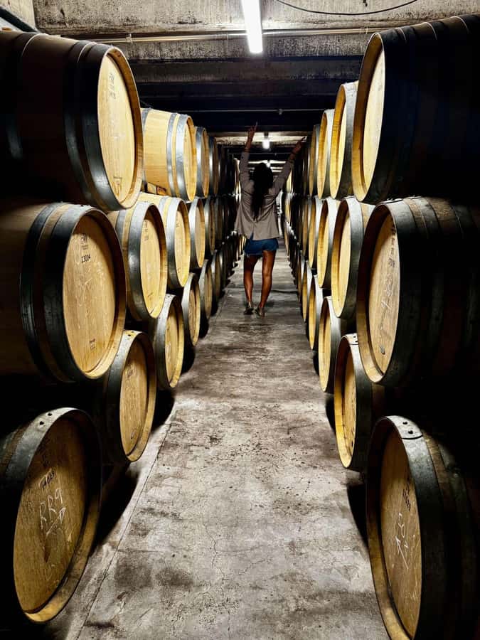 Auckland: Wine region tour with tastings and gourmet lunch - Why this Auckland wine day feels different than a drive-and-try