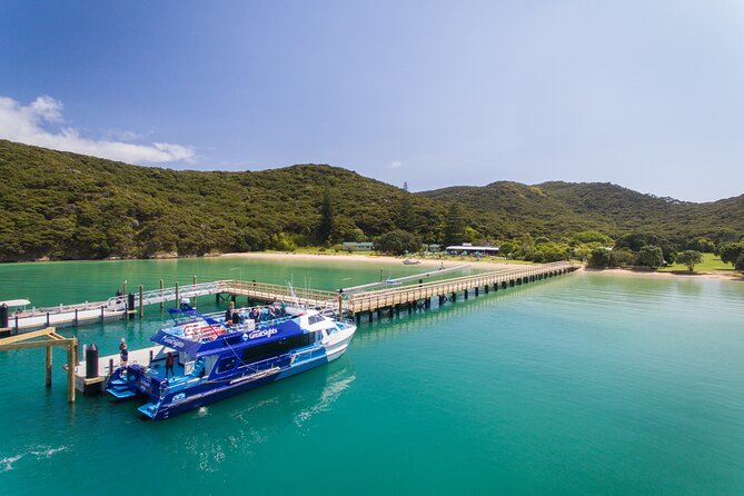 Bay of Islands Discovery Experience from Auckland incl. Hole In The Rock Cruise - Riding north: what the long drive actually gives you