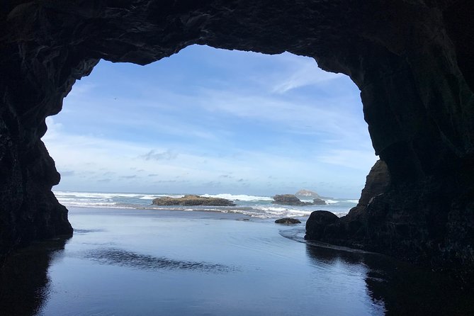 Beautiful Nature Tours Auckland - Private Tour - Kumeu wine country, plus a picnic-style ocean moment